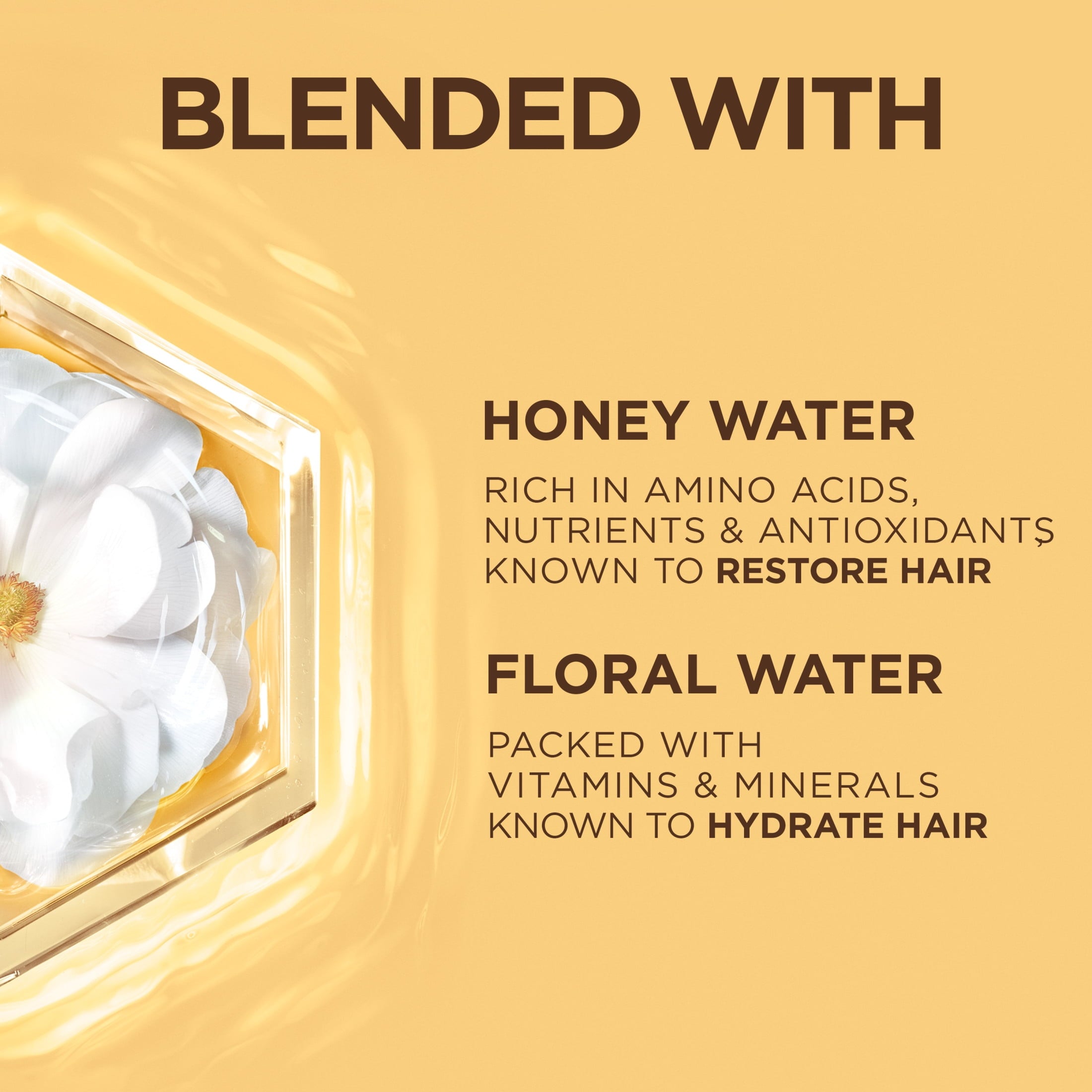 Garnier Whole Blends Honey Water Moisture Restoring Conditioner, Dry Hair, Squeeze, 12.5 fl oz